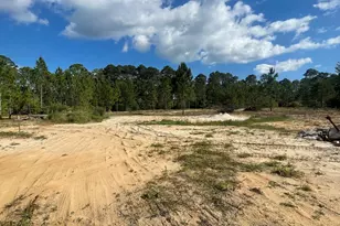 1111 NE Ave I, Carrabelle, FL 32322 - Photo 1