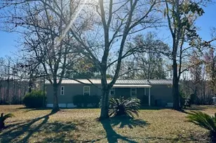 180 W Arm Dr, Wewahitchka, FL 32465 - Photo 39