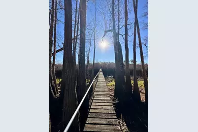 180 W Arm Dr, Wewahitchka, FL 32465 - Photo 11