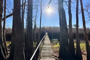 180 W Arm Dr, Wewahitchka, FL 32465 - Photo 11