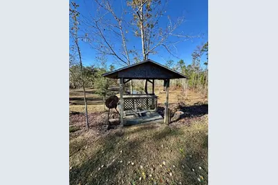 180 W Arm Dr, Wewahitchka, FL 32465 - Photo 7