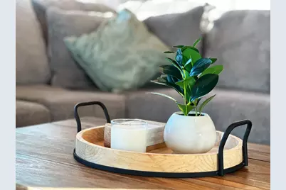 185 Swirly Sun Dr, Cape San Blas, FL 32456 - Photo 7