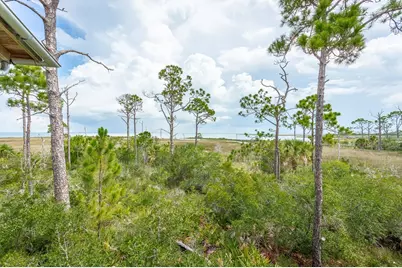 1723 Kingfisher Rd, Saint George Island, FL 32328 - Photo 53