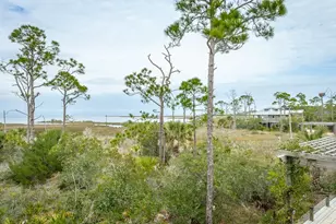 1723 Kingfisher Rd, Saint George Island, FL 32328 - Photo 41