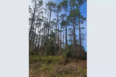 0 Eventide Dr, Port Saint Joe, FL 32456 - Photo 3