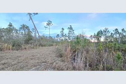 9641 Cr 386 N, Wewahitchka, FL 32465 - Photo 7