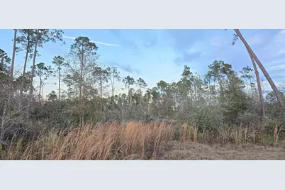 9641 Cr 386 N, Wewahitchka, FL 32465 - Photo 5