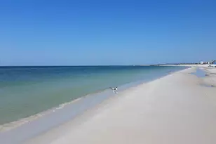 104 N 35th St, Mexico Beach, FL 32456 - Photo 63