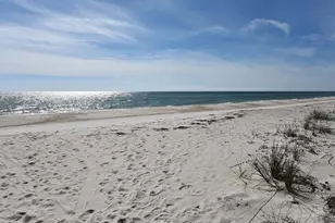 1804 E Gulf Beach Dr, Saint George Island, FL 32328 - Photo 23