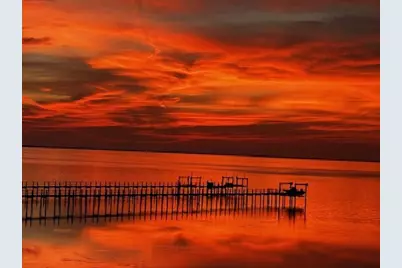 2123 Blue Heron Trl, Saint George Island, FL 32328 - Photo 35