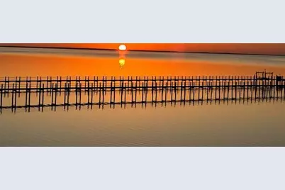 2123 Blue Heron Trl, Saint George Island, FL 32328 - Photo 37