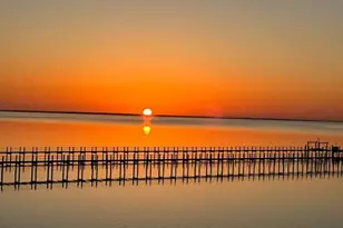 2123 Blue Heron Trail, Saint George Island, FL 32328 - Photo 37