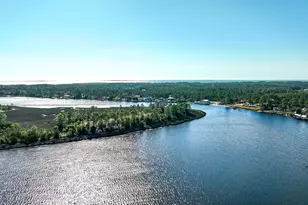 387 River Rd, Carrabelle, FL 32322 - Photo 17