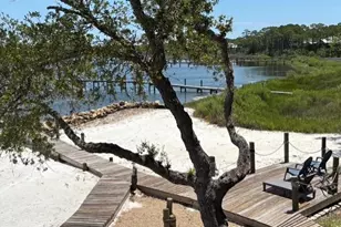 1419 Dove Ln, Saint George Island, FL 32328 - Photo 71