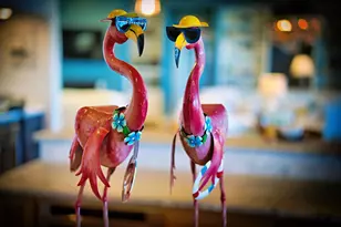 1419 Dove Ln, Saint George Island, FL 32328 - Photo 33