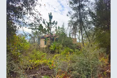 491 Spruce Ave #Unit 3, Wewahitchka, FL 32465 - Photo 7