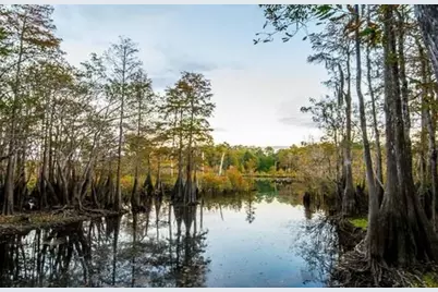 491 Spruce Ave #Unit 3, Wewahitchka, FL 32465 - Photo 13