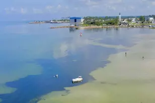 3050 Hwy 98 W, Port Saint Joe, FL 32456 - Photo 65