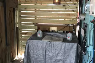 501 E Pine St, Lanark Village, FL 32323 - Photo 15