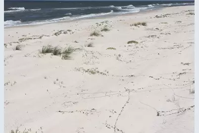 1804 E Gulf Beach Dr #L-4, Saint George Island, FL 32328 - Photo 49