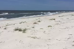 1804 E Gulf Beach Dr, Saint George Island, FL 32328 - Photo 49