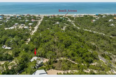 1223 Avocet Ln, Saint George Island, FL 32328 - Photo 11