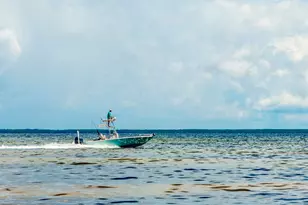 509 Eighth St, Port Saint Joe, FL 32456 - Photo 61