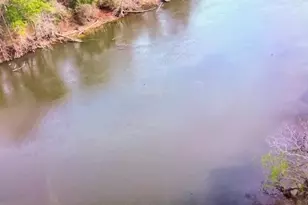 492 Land Dr, Wewahitchka, FL 32465 - Photo 33