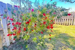 116 Walkabout Ct, Port Saint Joe, FL 32456 - Photo 53