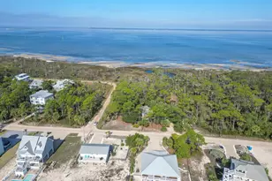 724 E Pine Ave, Saint George Island, FL 32328 - Photo 47