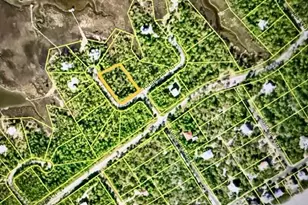 1735 Kingfisher Rd, Saint George Island, FL 32328 - Photo 1