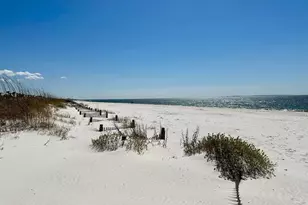 128 Dogwood Ave, Wewahitchka, FL 32465 - Photo 15