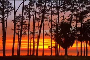 201 Eighth St, Port Saint Joe, FL 32456 - Photo 67