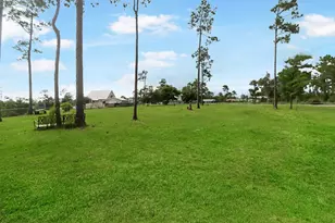 198 Peacock Ln, Wewahitchka, FL 32465 - Photo 41