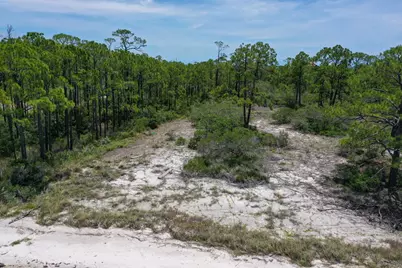 1549 E Gulf Beach Dr, Saint George Island, FL 32328 - Photo 7