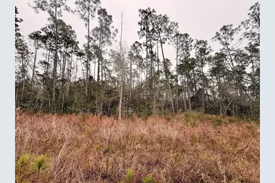 Lot 9 Jazzy Lane, Wewahitchka, FL 32465 - Photo 3