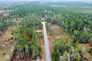 Lot 9 Jazzy Ln, Wewahitchka, FL 32465 - Photo 1