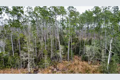 Lot 9 Jazzy Lane, Wewahitchka, FL 32465 - Photo 7