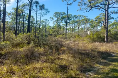 1279 Avocet Ln, Saint George Island, FL 32328 - Photo 15