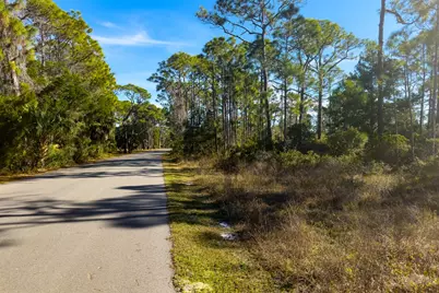 1279 Avocet Ln, Saint George Island, FL 32328 - Photo 11