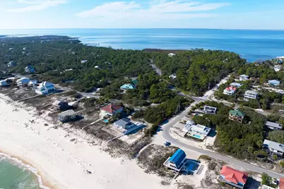 1279 Avocet Ln, Saint George Island, FL 32328 - Photo 35