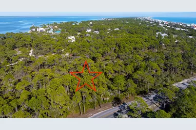 1279 Avocet Ln, Saint George Island, FL 32328 - Photo 7