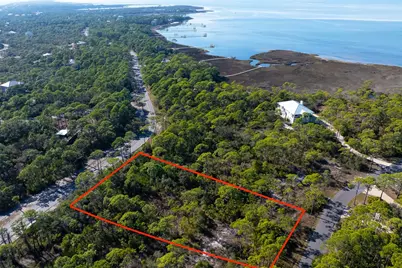 1279 Avocet Ln, Saint George Island, FL 32328 - Photo 3