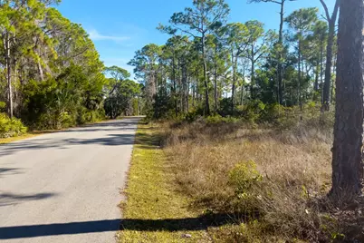 1279 Avocet Ln, Saint George Island, FL 32328 - Photo 13