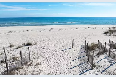 1279 Avocet Ln, Saint George Island, FL 32328 - Photo 27