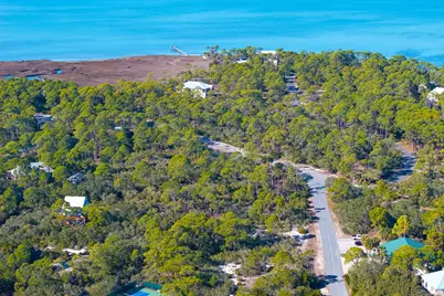 1279 Avocet Ln, Saint George Island, FL 32328 - Photo 21