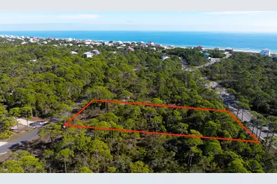 1279 Avocet Ln, Saint George Island, FL 32328 - Photo 9