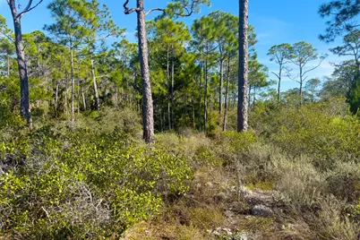 1279 Avocet Ln, Saint George Island, FL 32328 - Photo 17