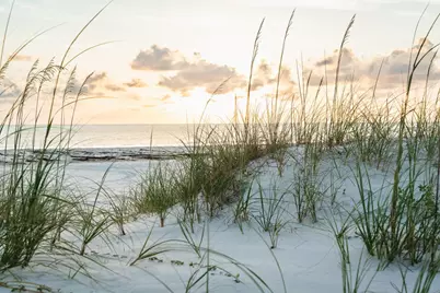 197 Cape Pointe Dr #D1, Port Saint Joe, FL 32456 - Photo 53