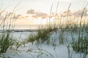 197 Cape Pointe Dr, Port Saint Joe, FL 32456 - Photo 53